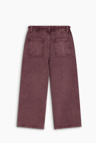 TNS Denim prugna - Pantaloni - We are the new society