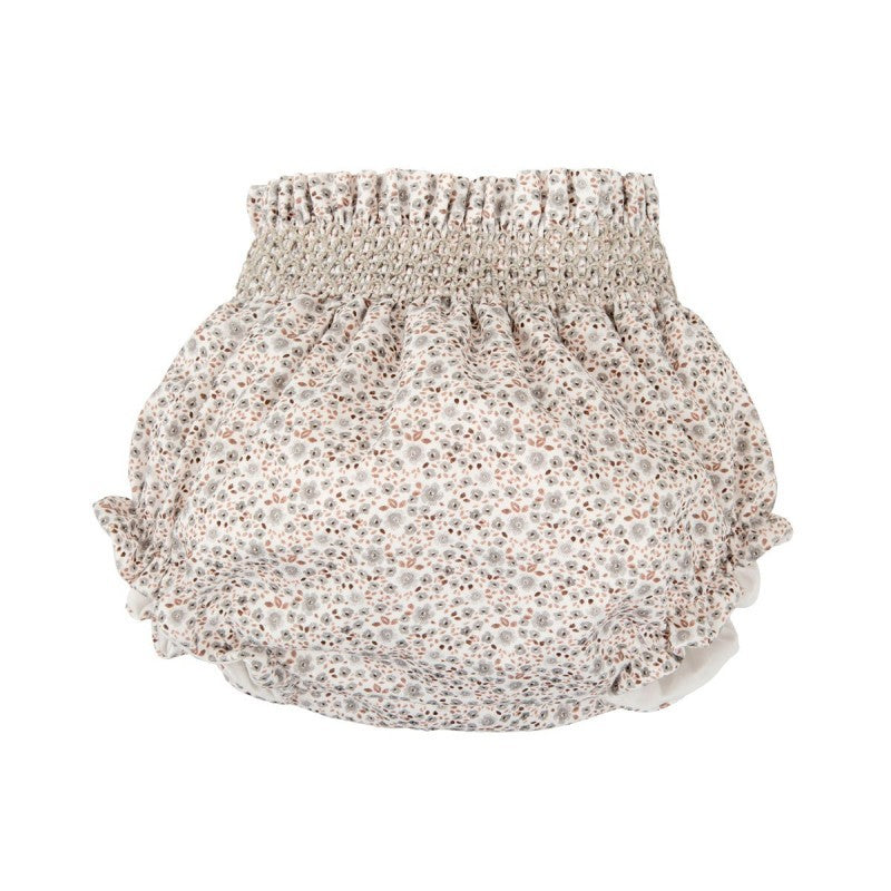 Coulotte boreal - COULOTTE - BABIDU